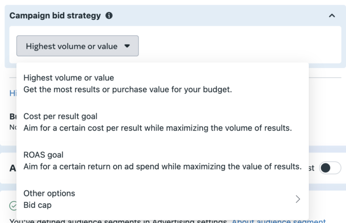 Campaign bidding strategy
